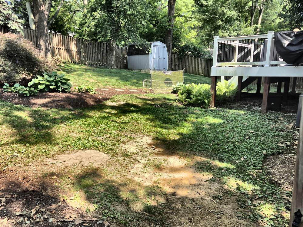 Open backyard after jungle gym and trampoline removal in Arnold, MD