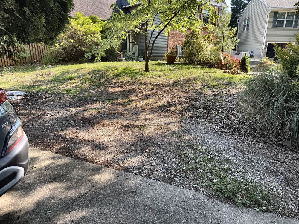 Clear front yard after outdoor patio furniture removal in Arnold, MD