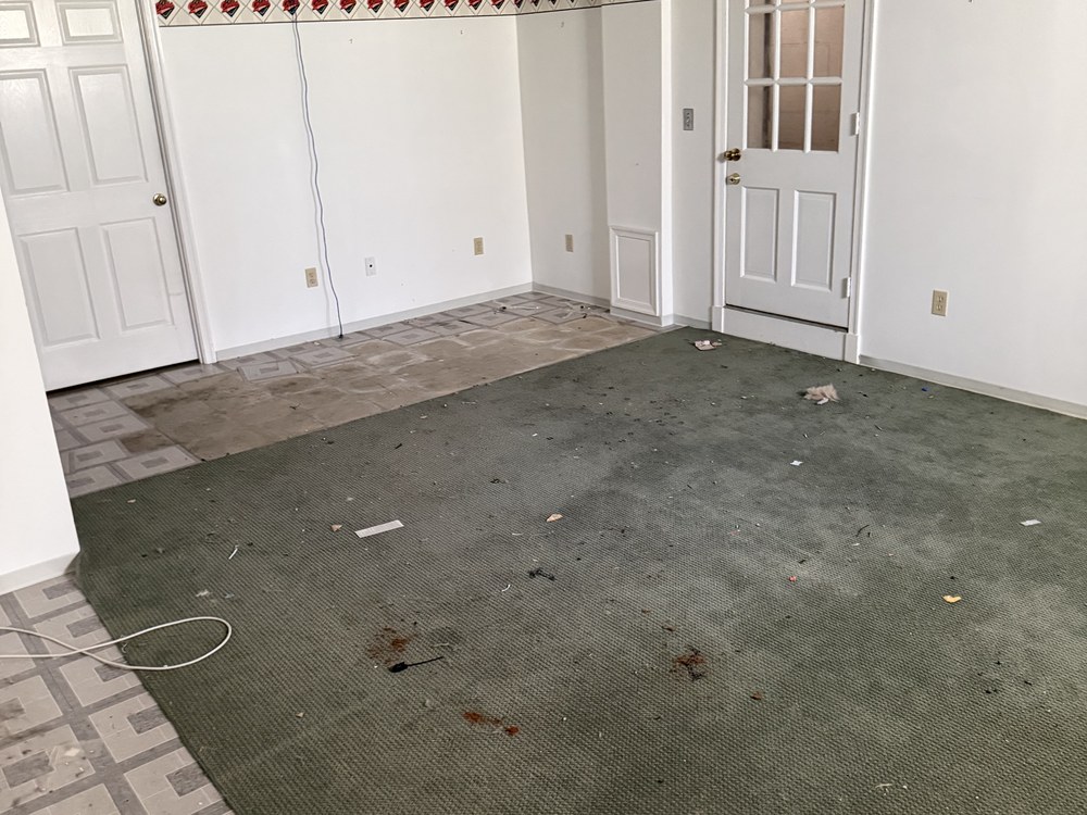 Empty basement rec room cleared to bare carpet after a prelisting cleanout in Catonsville, MD