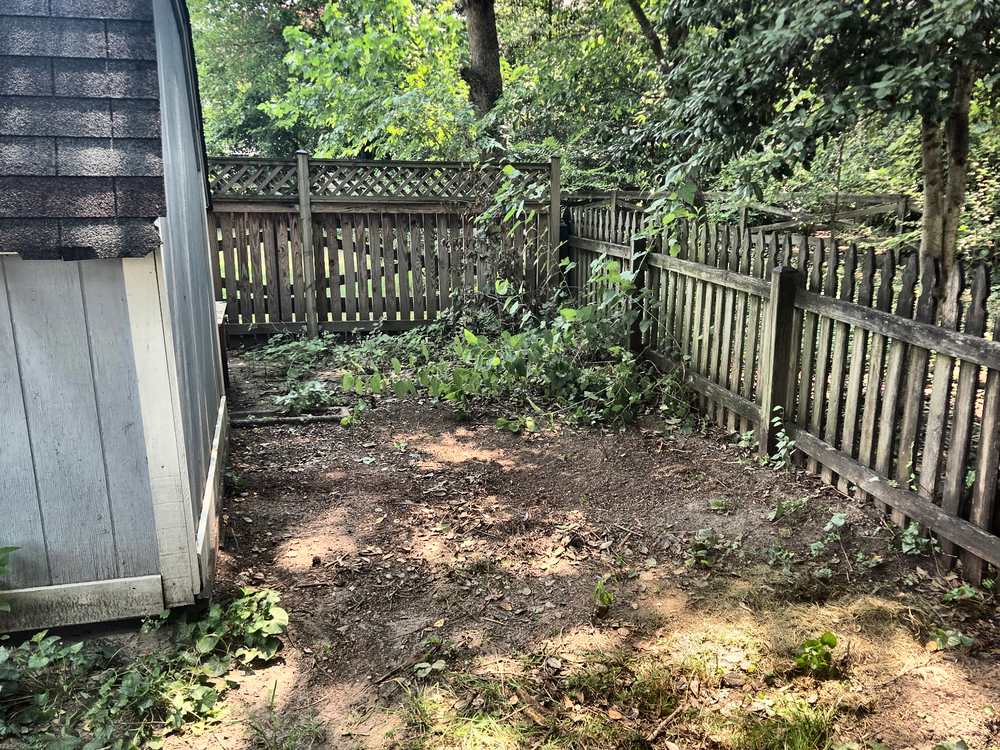 Cleared backyard corner with brush and debris removed along the fence line after a yard waste cleanup in Millersville, MD