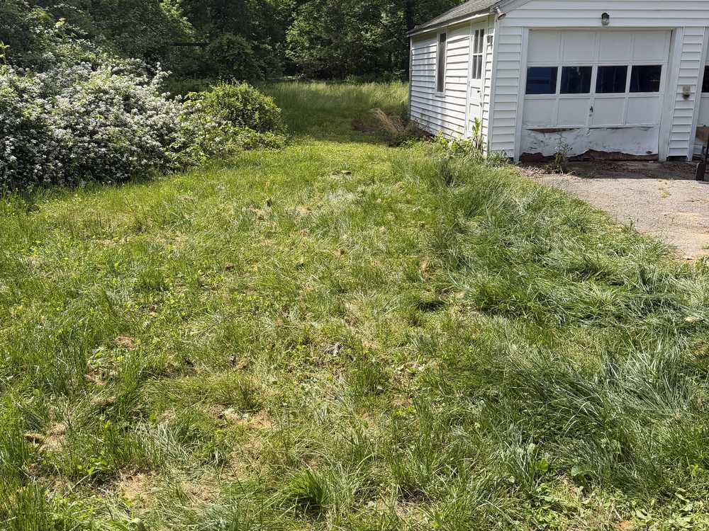 Same yard cleared and empty by the garage after the estate cleanout on Telegraph Road in Severn, MD