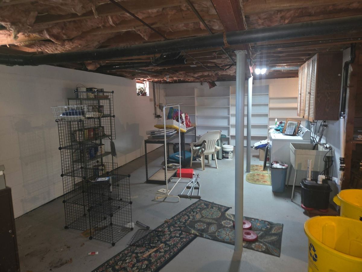 Basement filled with wire shelving, rugs and stored household items before a cleanout in Severna Park, MD